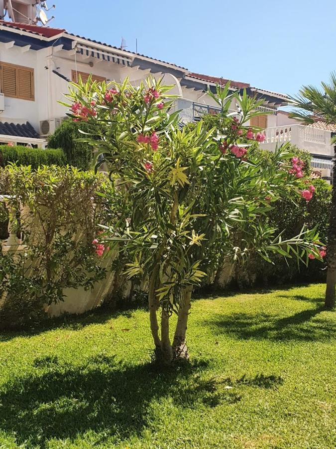 Apartament Parquemar Con Vistas Al Mar La Mata  Zewnętrze zdjęcie